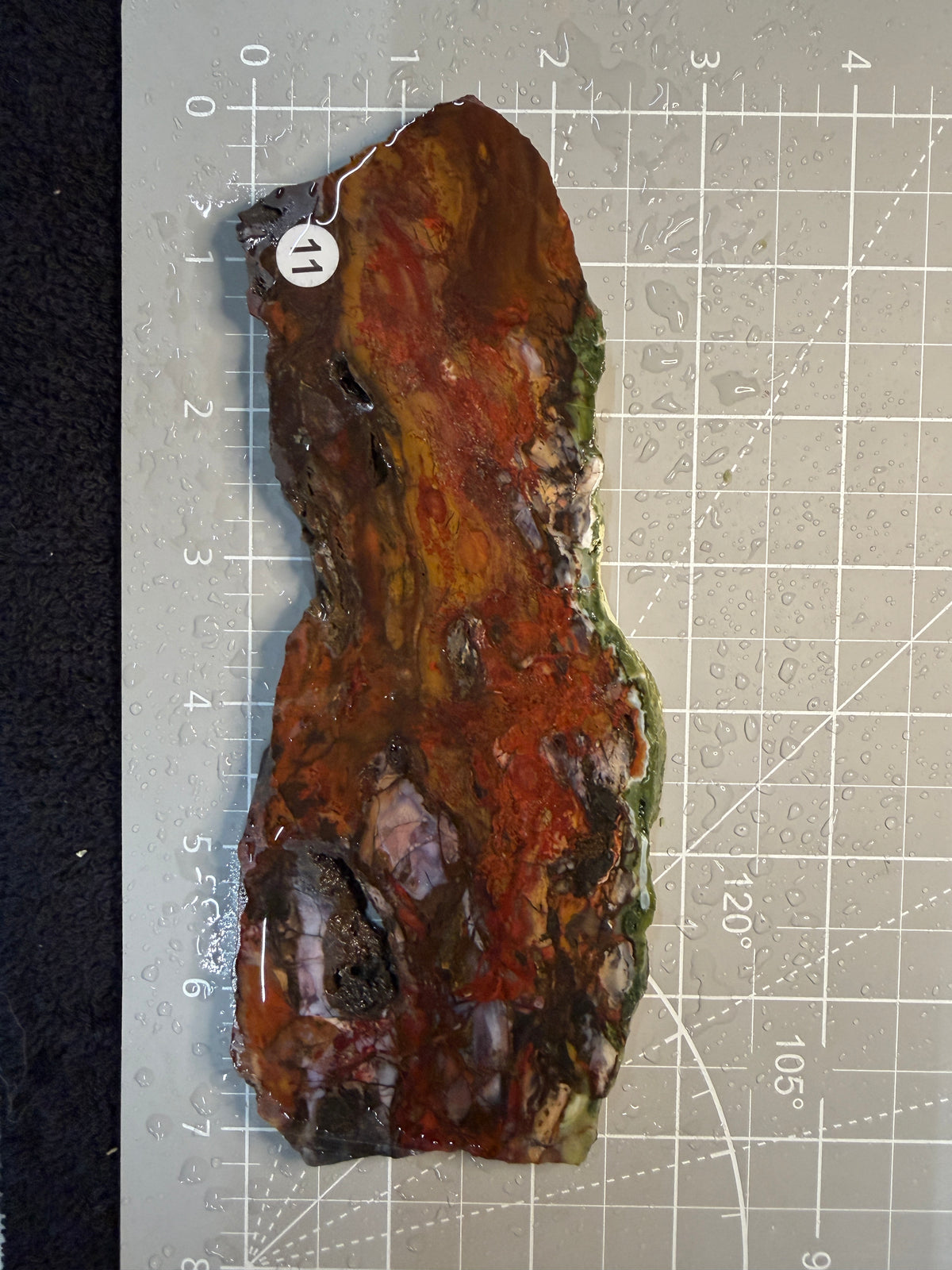 Purple Cow Slab #11