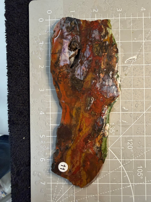 Purple Cow Slab #11