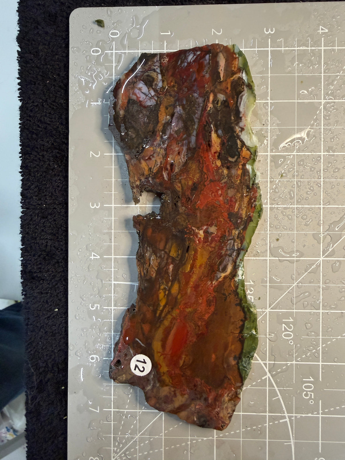 Purple Cow Slab #12