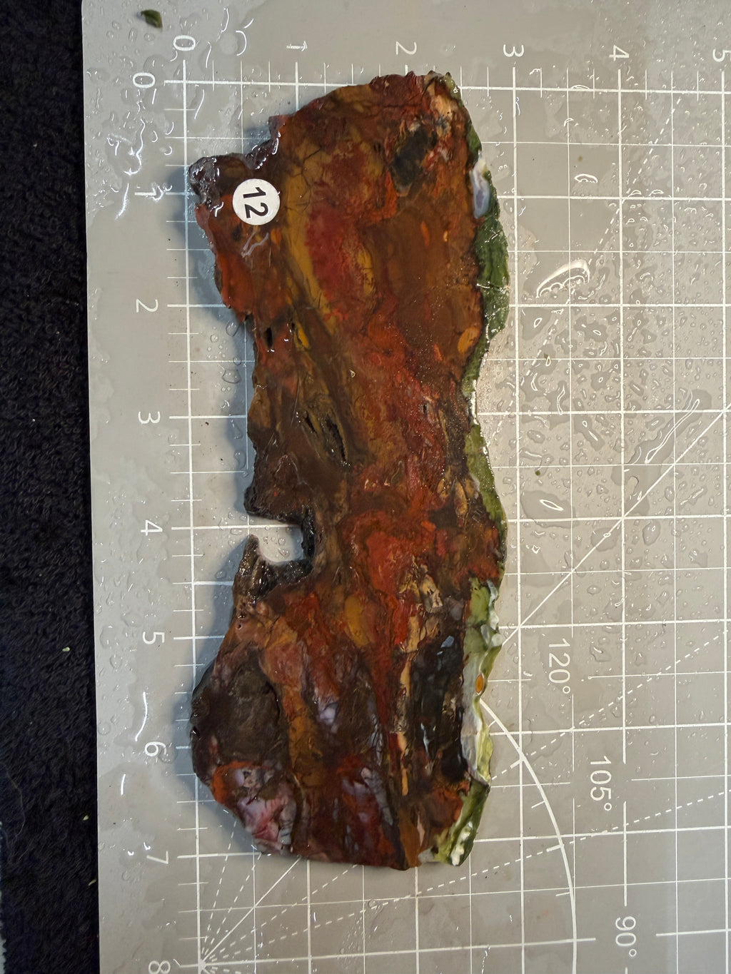 Purple Cow Slab #12
