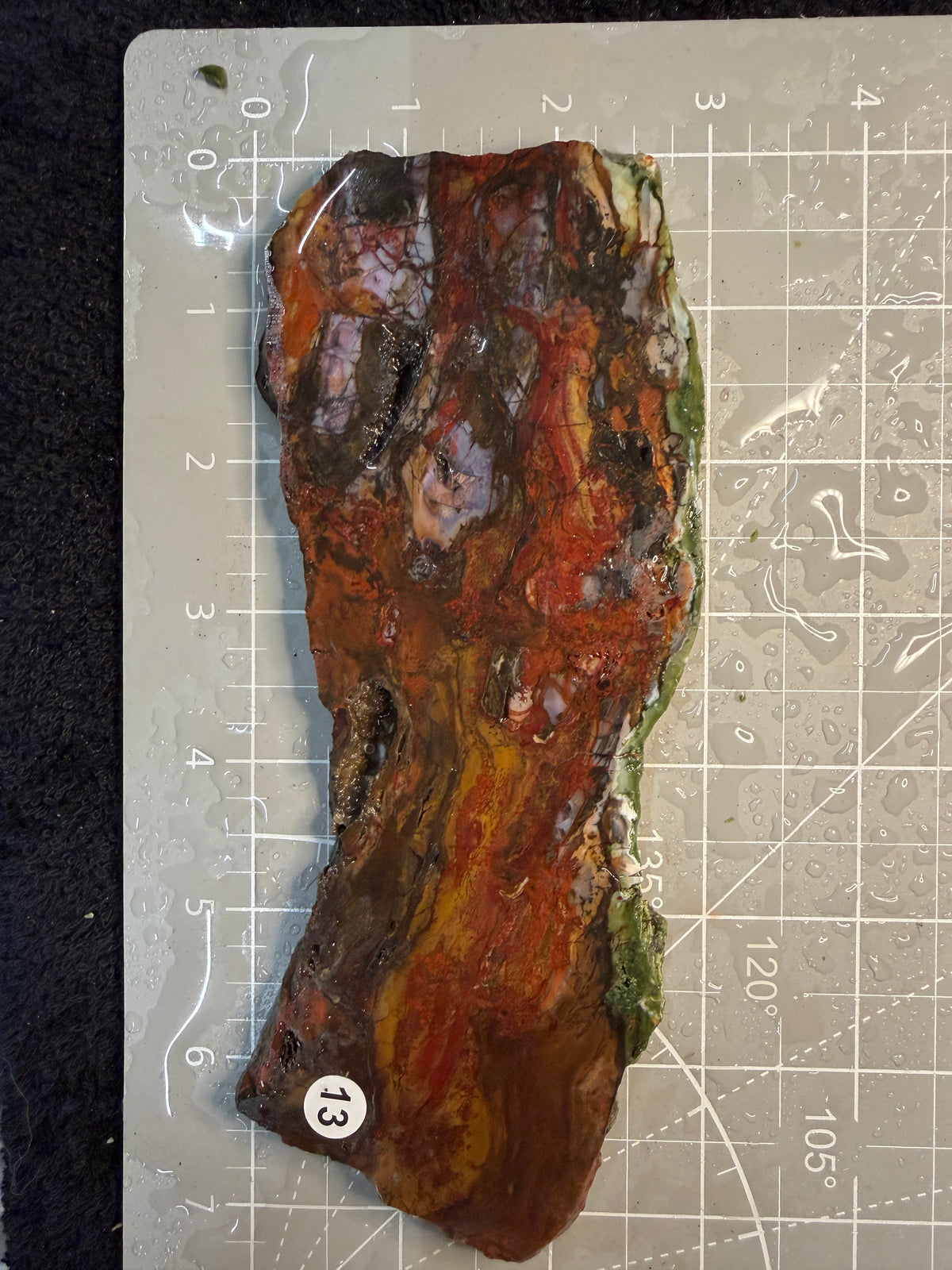 Purtple Cow Slab #13