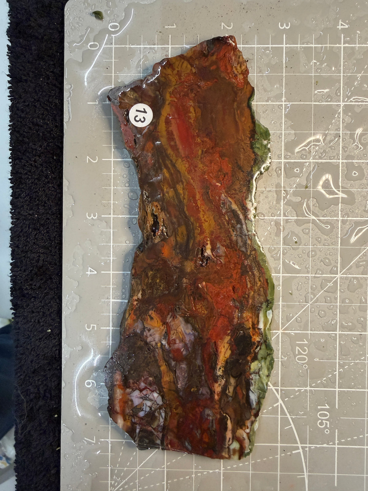 Purtple Cow Slab #13
