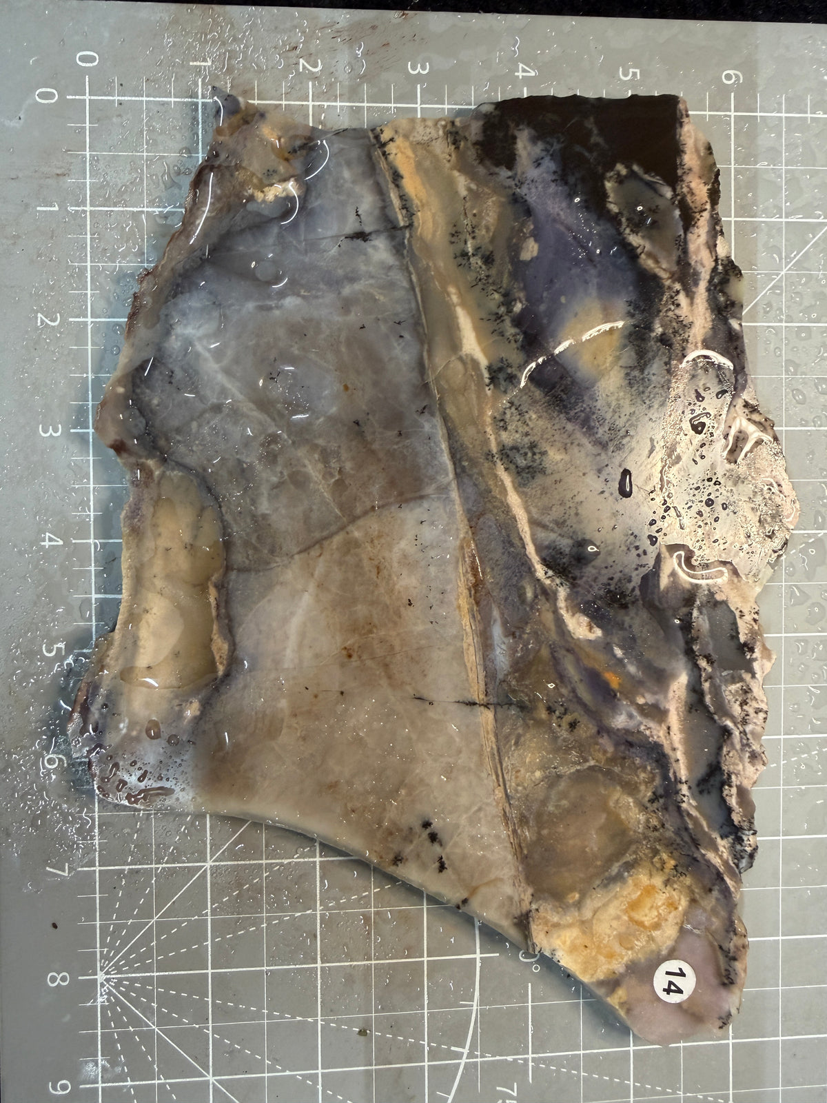 Amethyst Sage Agate Slab #14