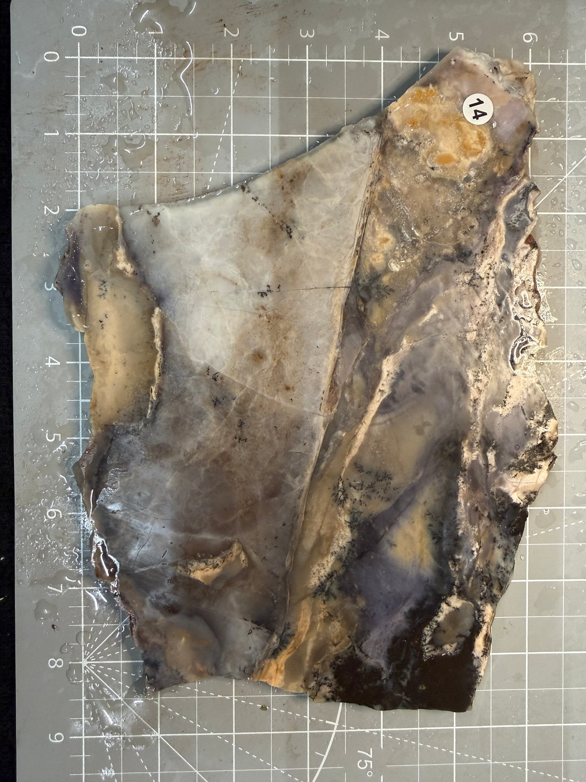 Amethyst Sage Agate Slab #14