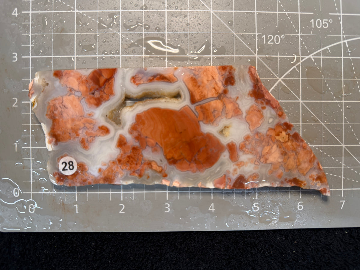 Cotton Candy Agate #28