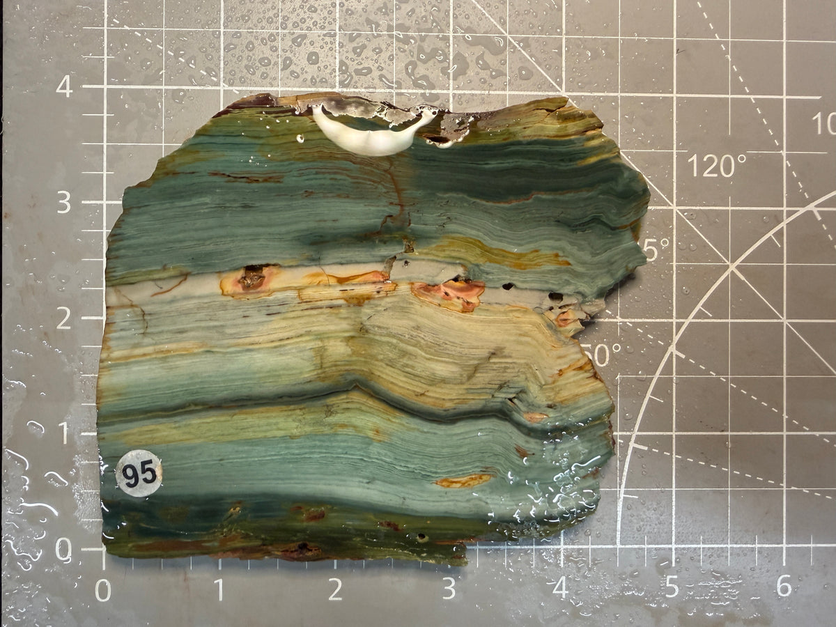 Gary Green Jasper #95