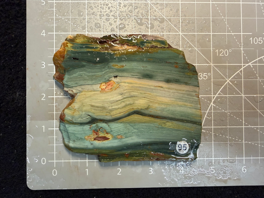 Gary Green Jasper #95
