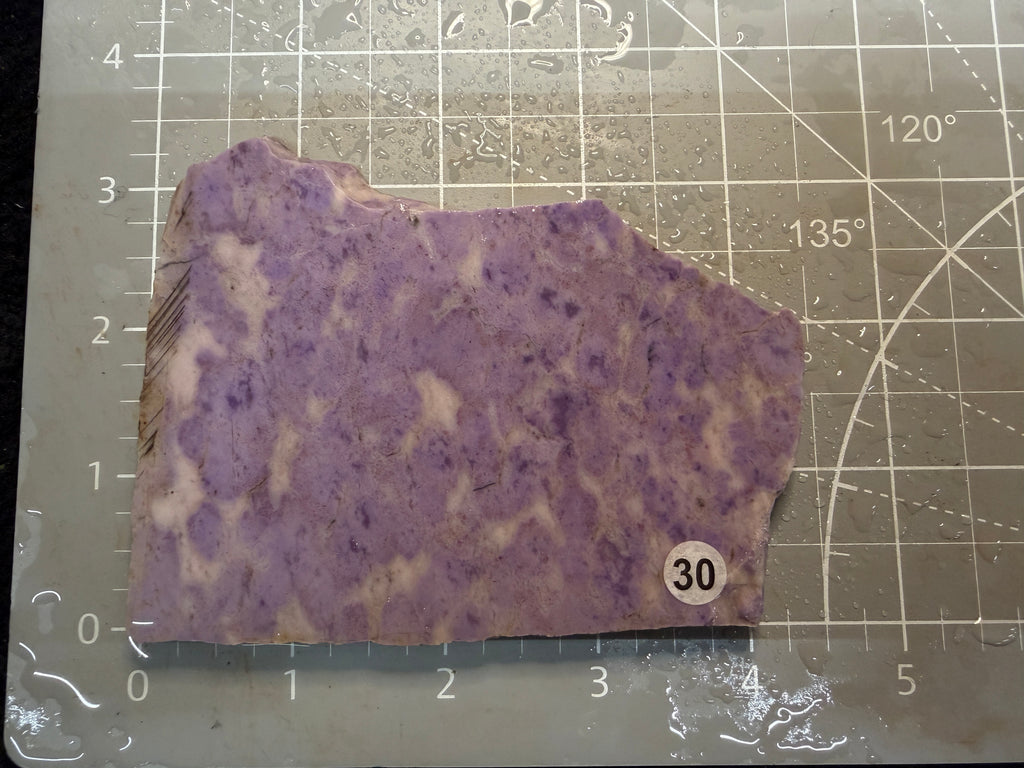 Purple Jade #30