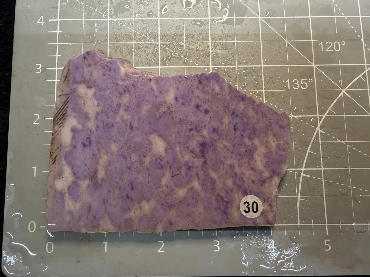 Purple Jade #30