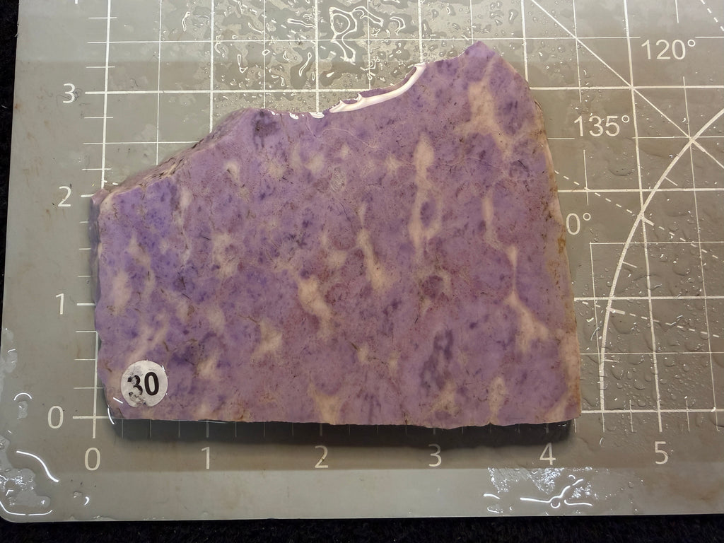 Purple Jade #30