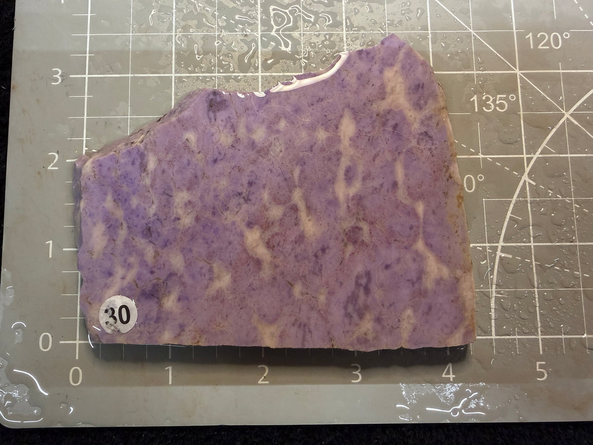 Purple Jade #30