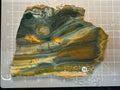 Gary Green Jasper #16