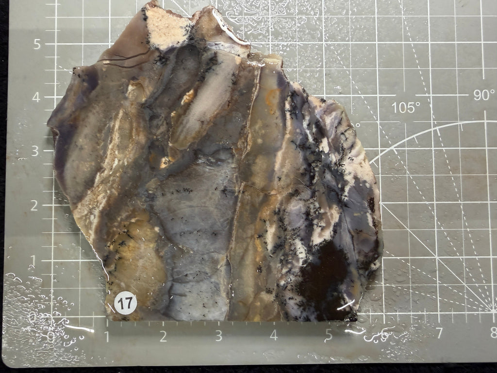Amethyst Sage Agate Slab #17