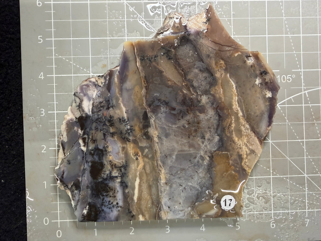 Amethyst Sage Agate Slab #17