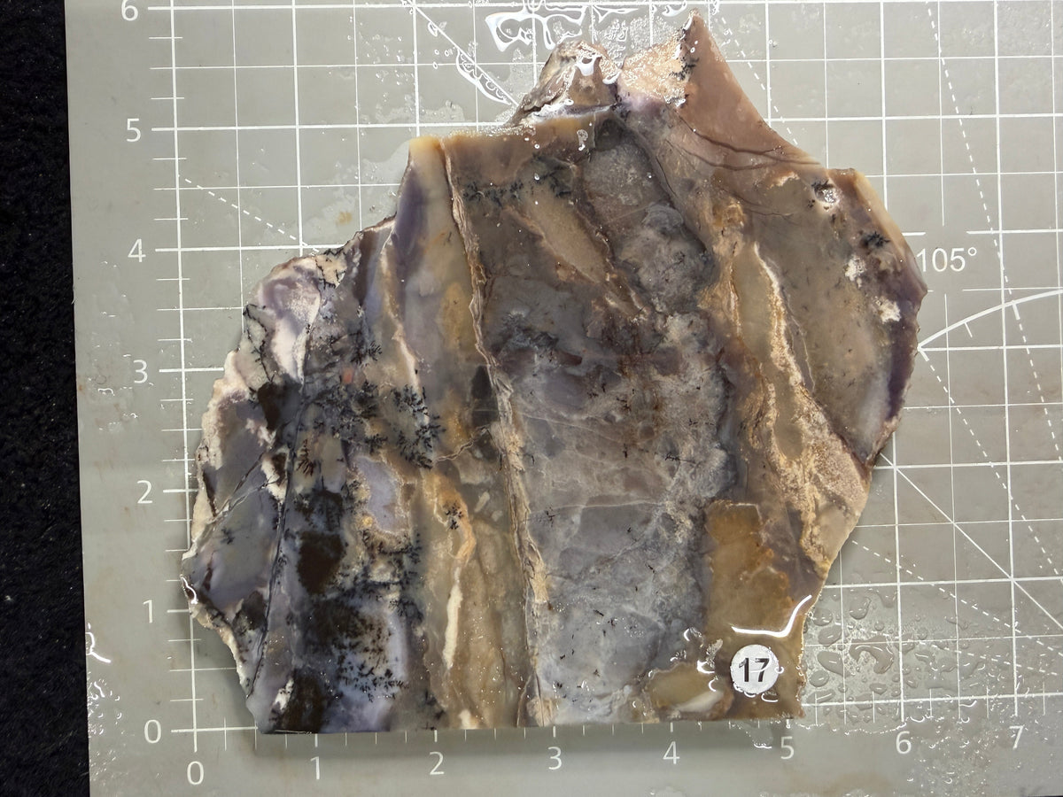Amethyst Sage Agate Slab #17