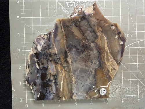 Amethyst Sage Agate Slab #17