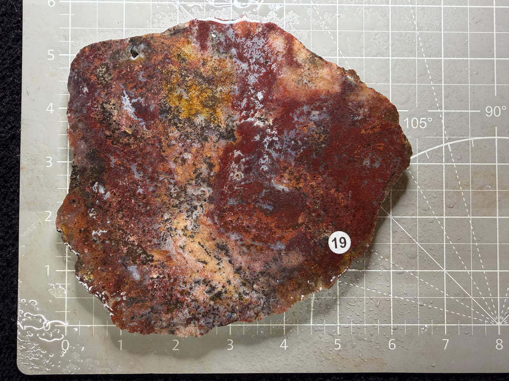 Moss Agate #19