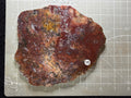 Moss Agate #19