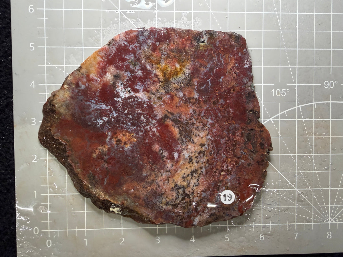 Moss Agate #19