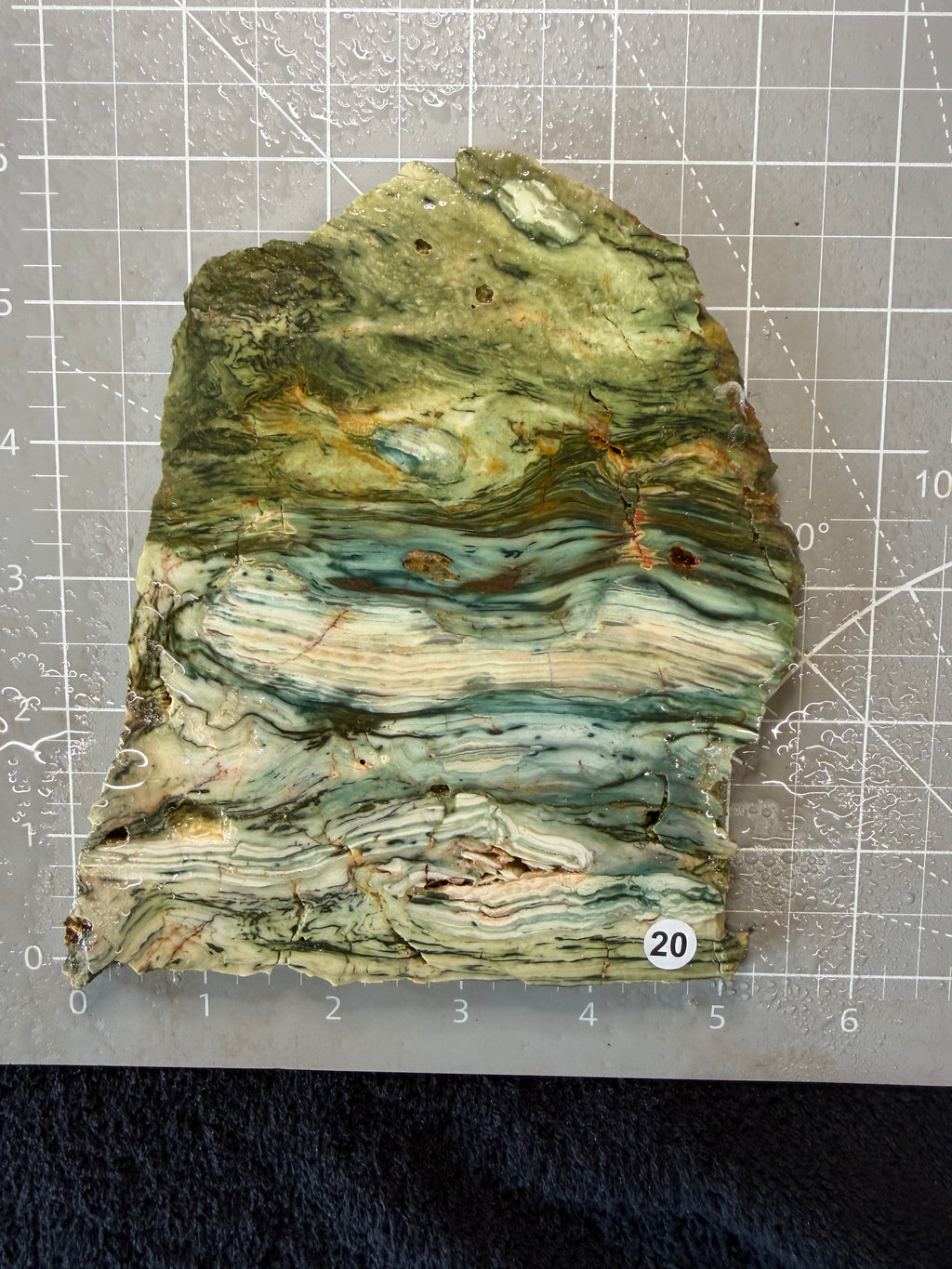 Gary Green Jasper #20