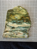 Gary Green Jasper #20