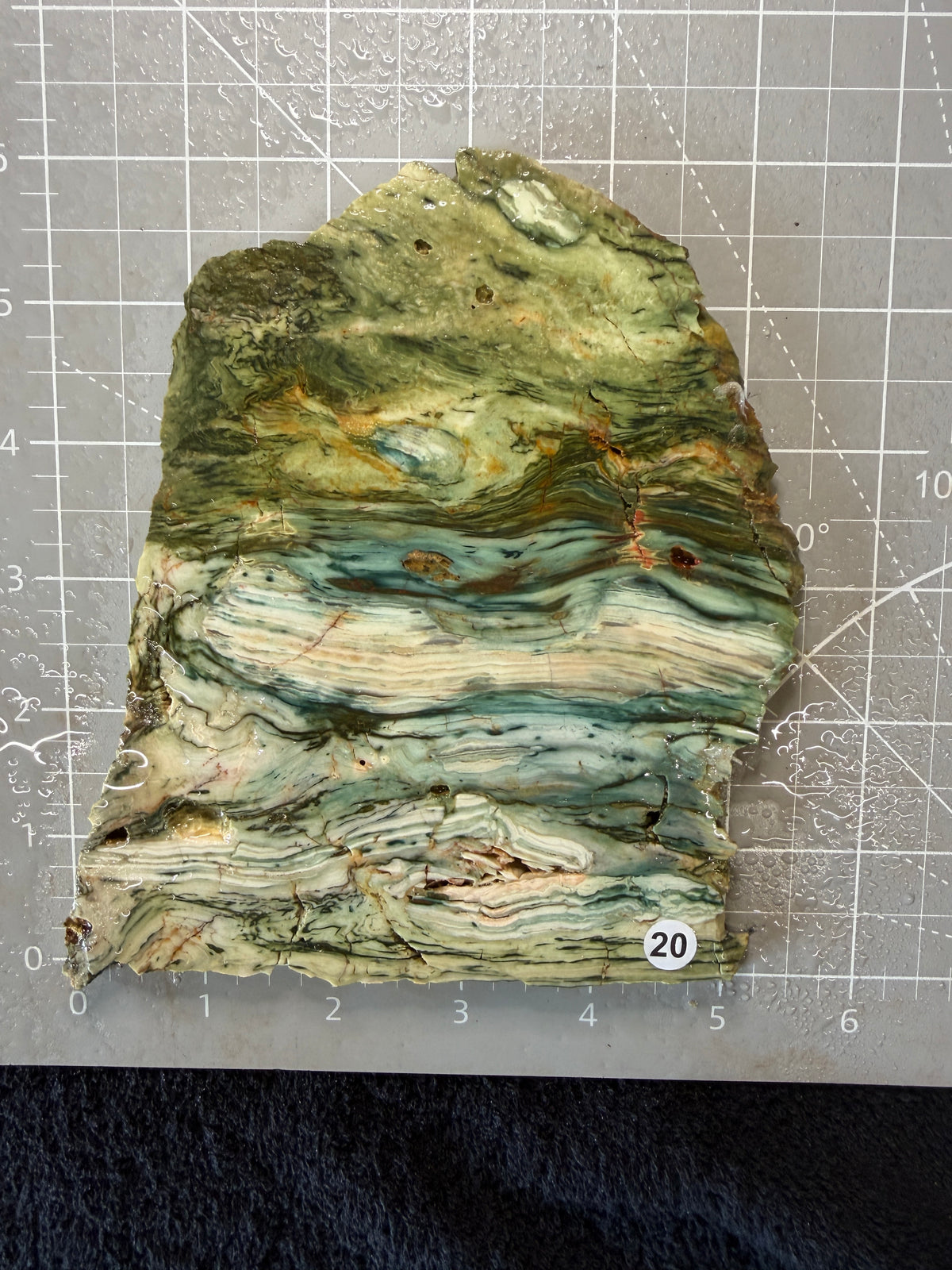 Gary Green Jasper #20