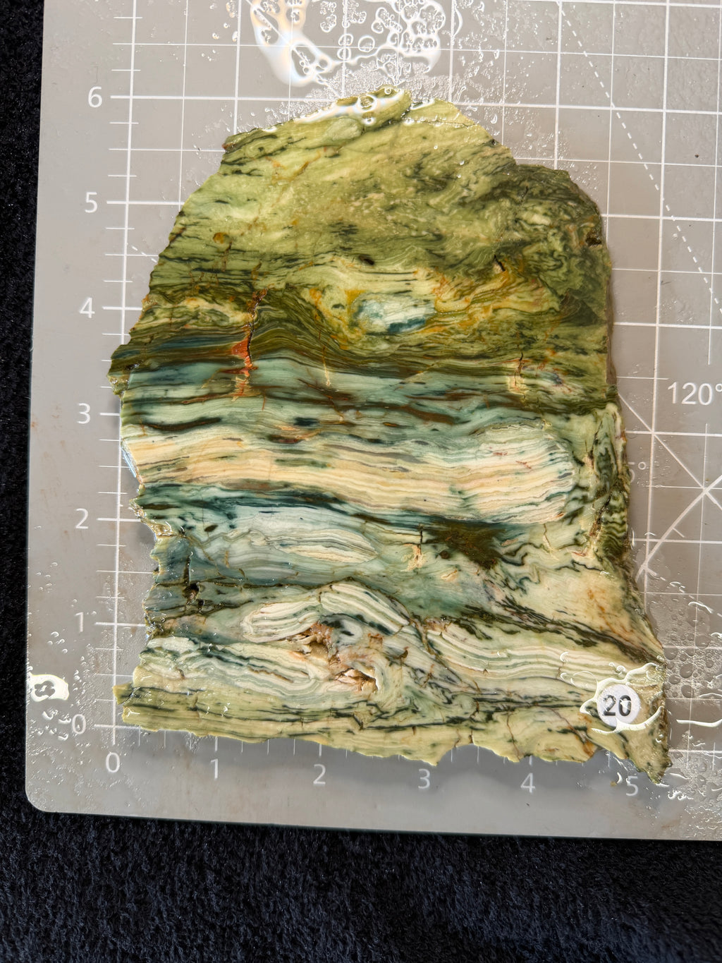 Gary Green Jasper #20