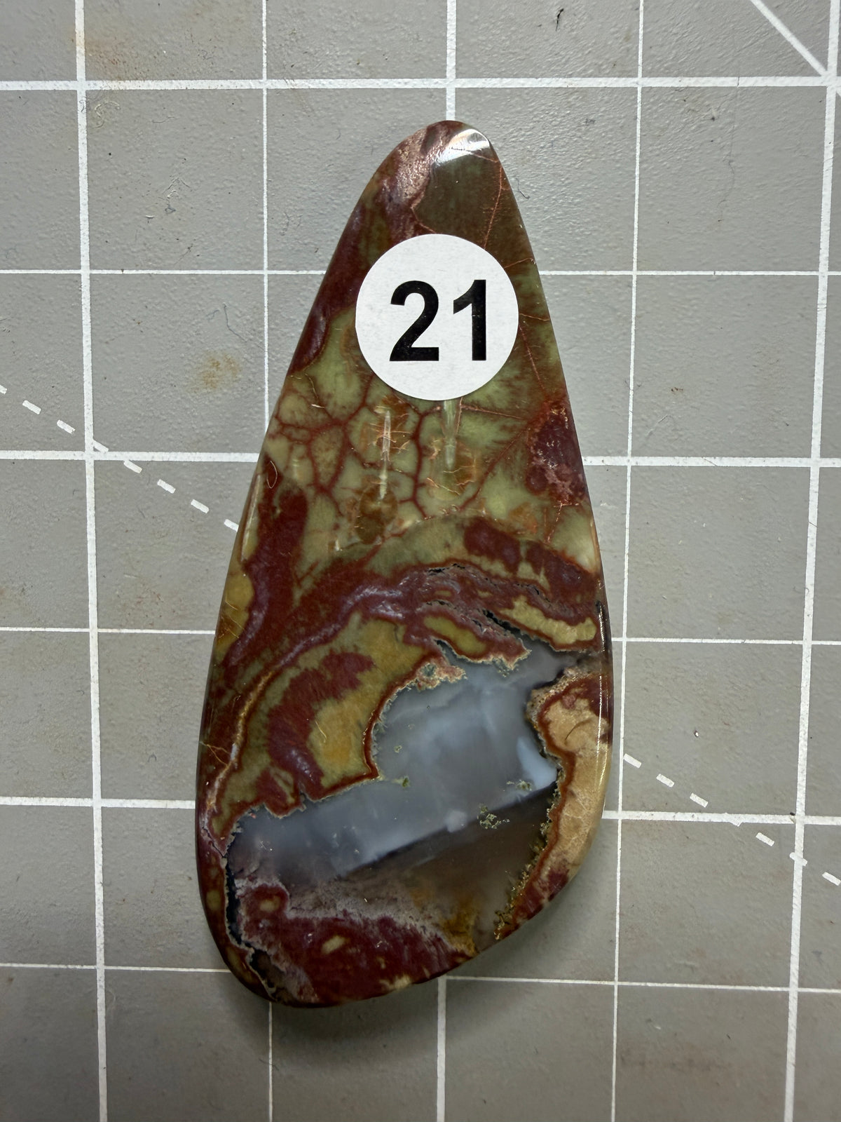 Spider Web Rhyolite #21