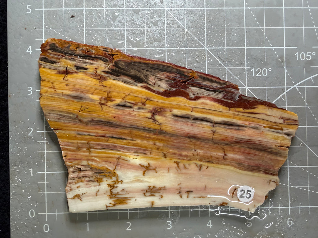 Caldera Paint Jasper #25