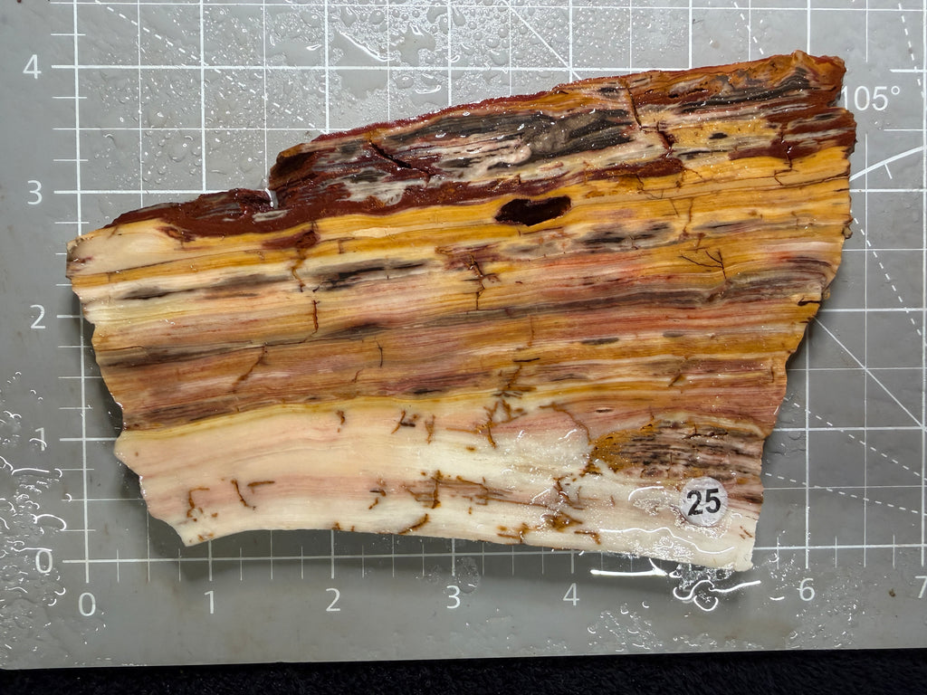 Caldera Paint Jasper #25