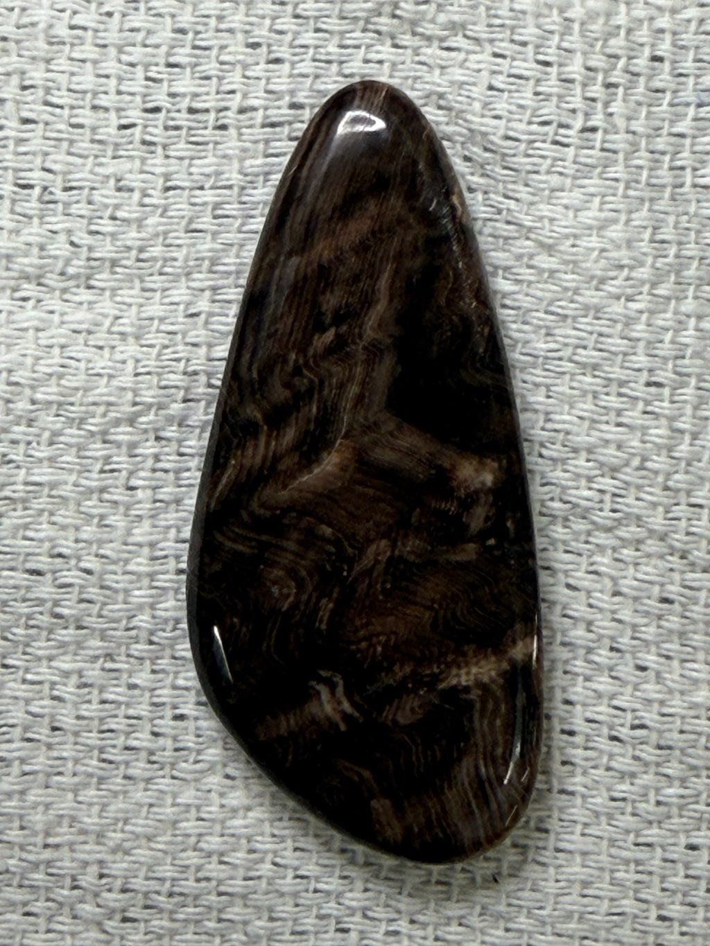 Petrified Wood #3