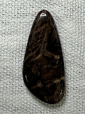Petrified Wood #3
