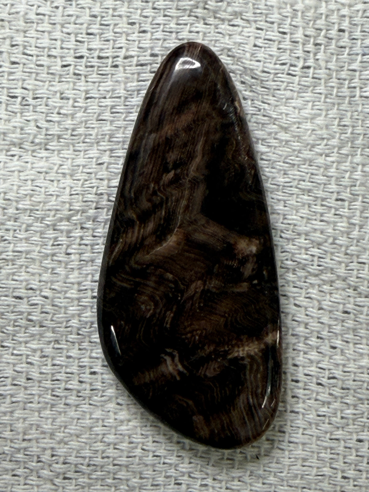 Petrified Wood #3