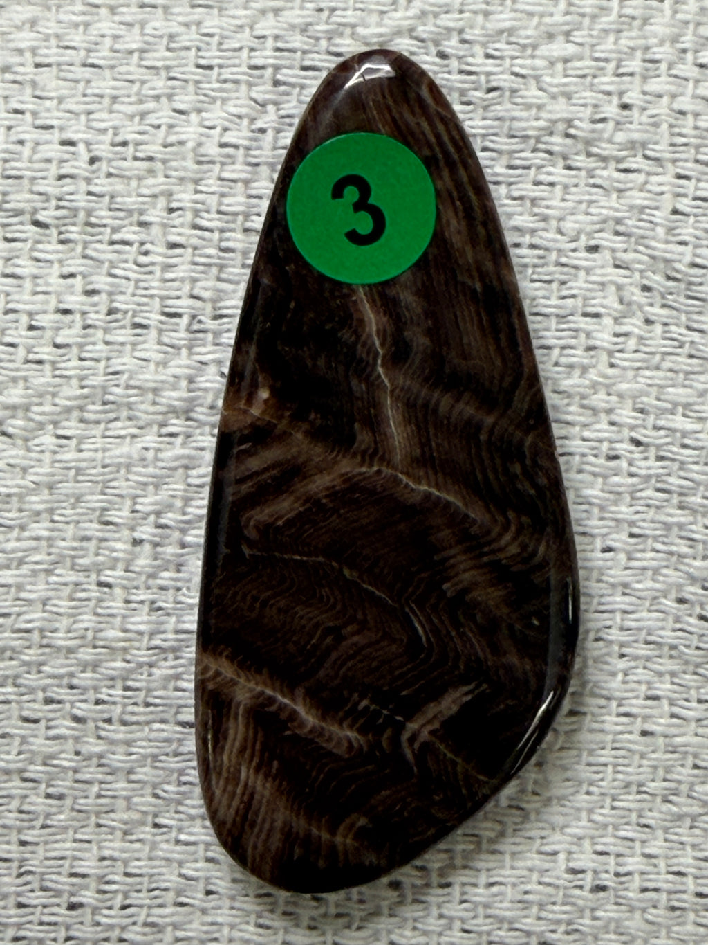 Petrified Wood #3