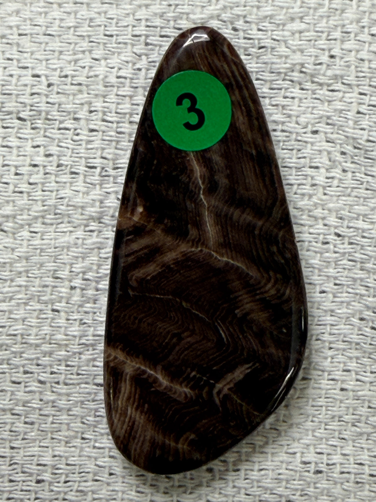 Petrified Wood #3