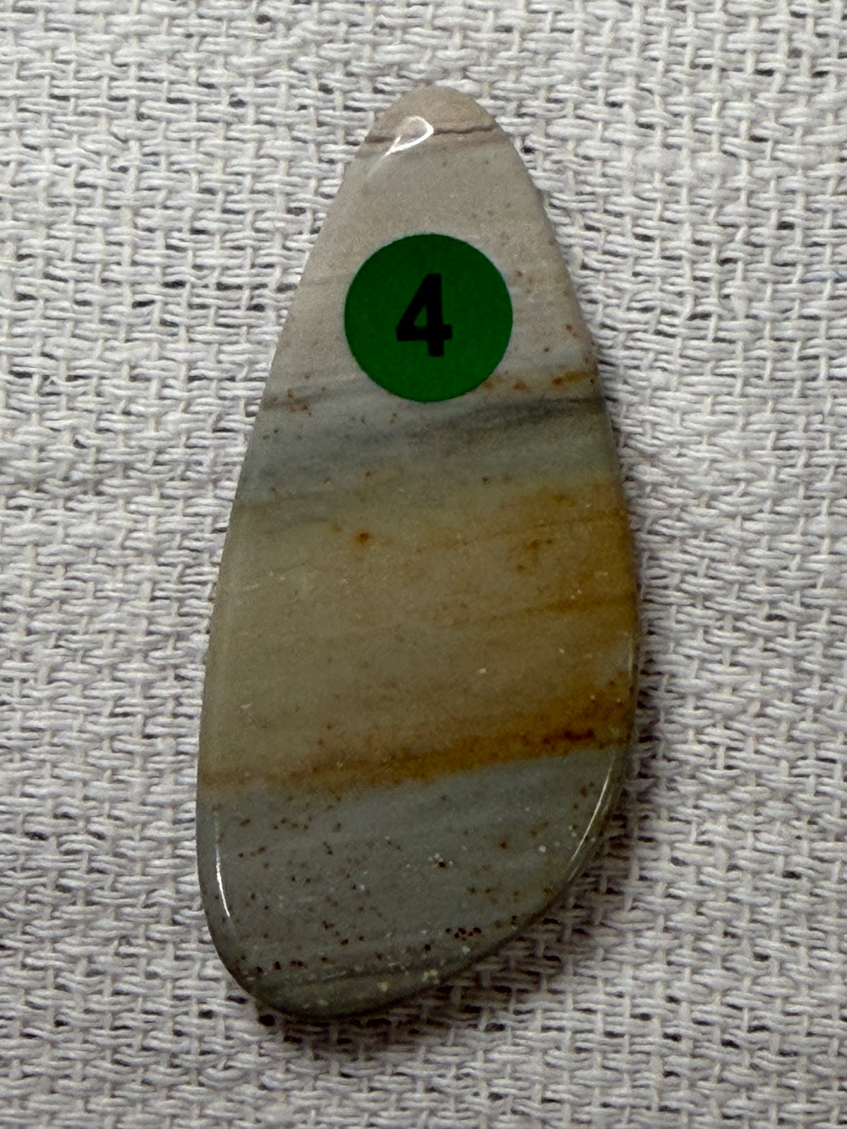 Picture Jasper #4