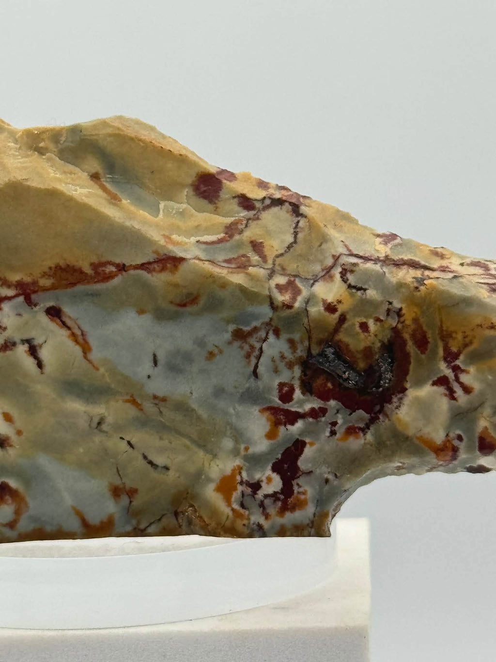 Dead Camel Jasper Slab