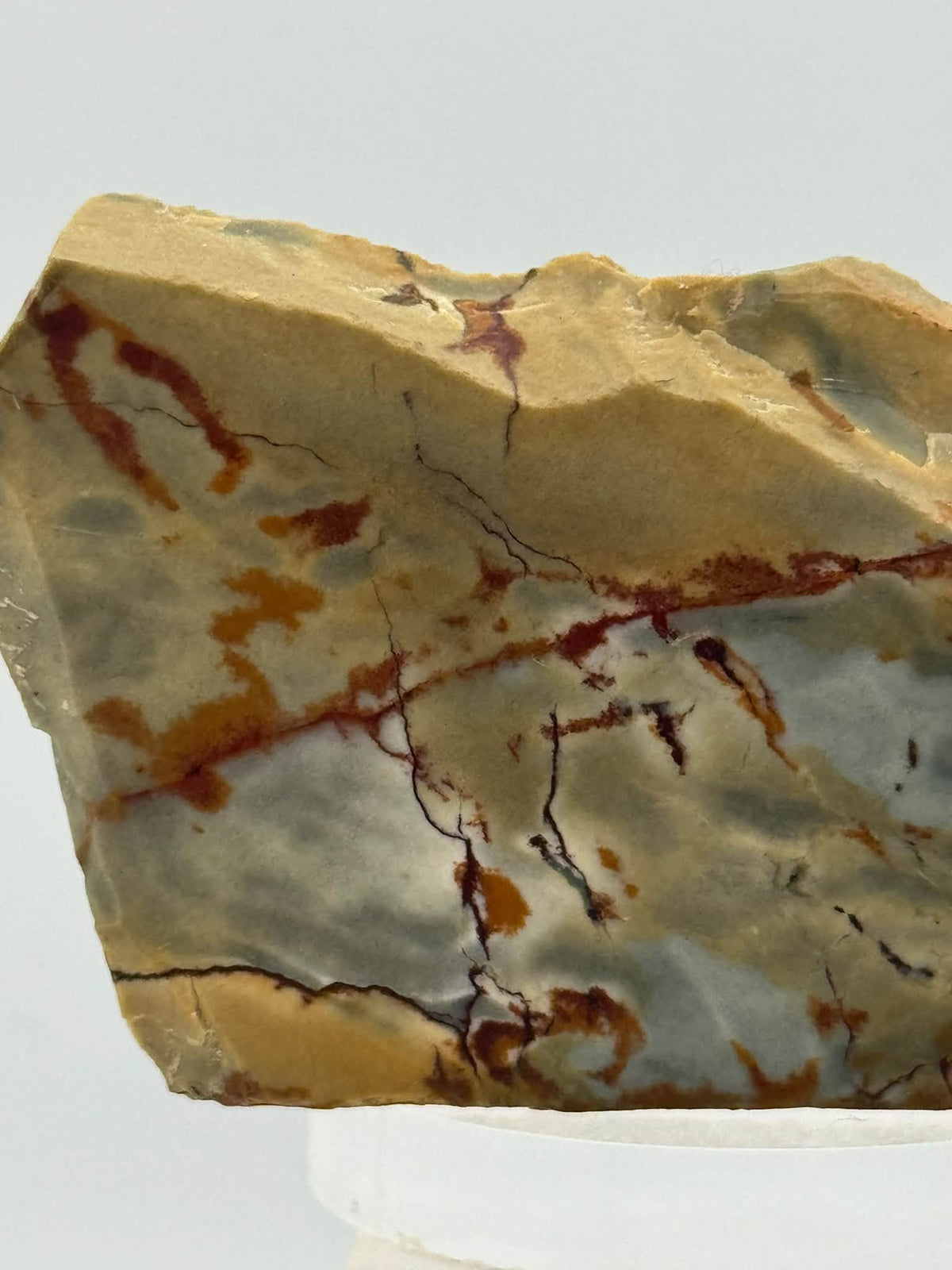 Dead Camel Jasper Slab