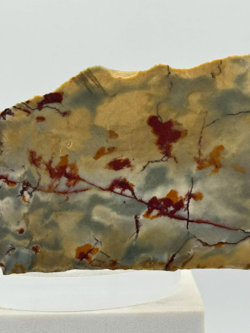 Dead Camel Jasper Slab